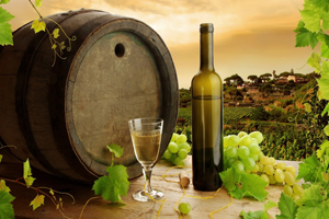 Solutia integrata ASiS pentru viticultura si vinificatie